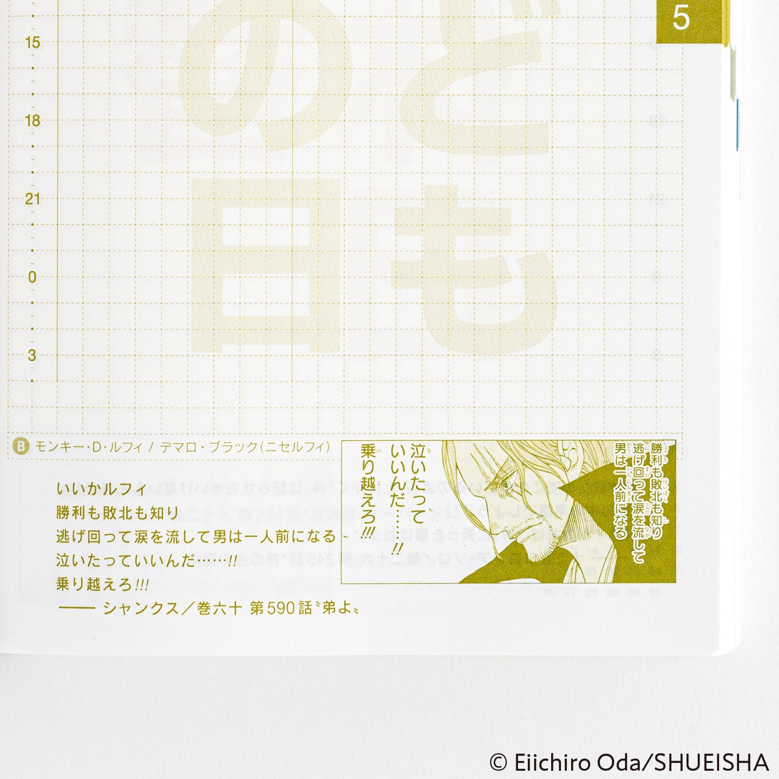 Japanese Original Book 2025 - ONE PIECE edition [A6/Jan Start/Mon Start]