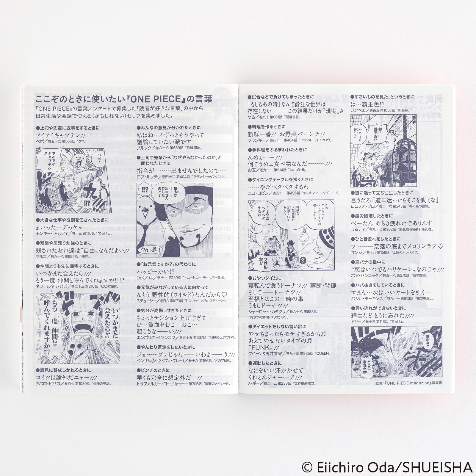 Japanese Original Book 2025 - ONE PIECE edition [A6/Jan Start/Mon Start]