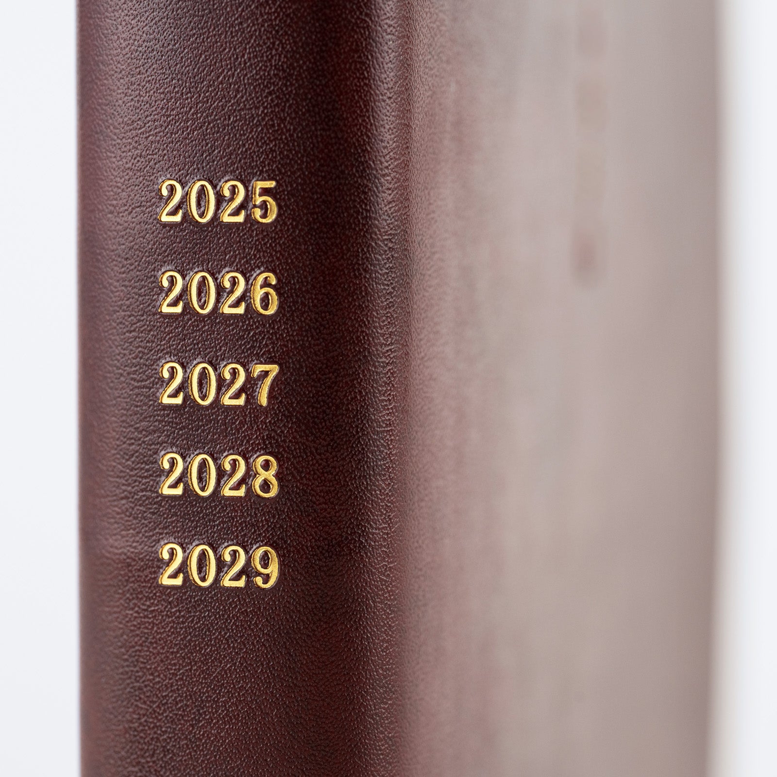 5-Year Techo Japanese Book (2025-2029) [A6]