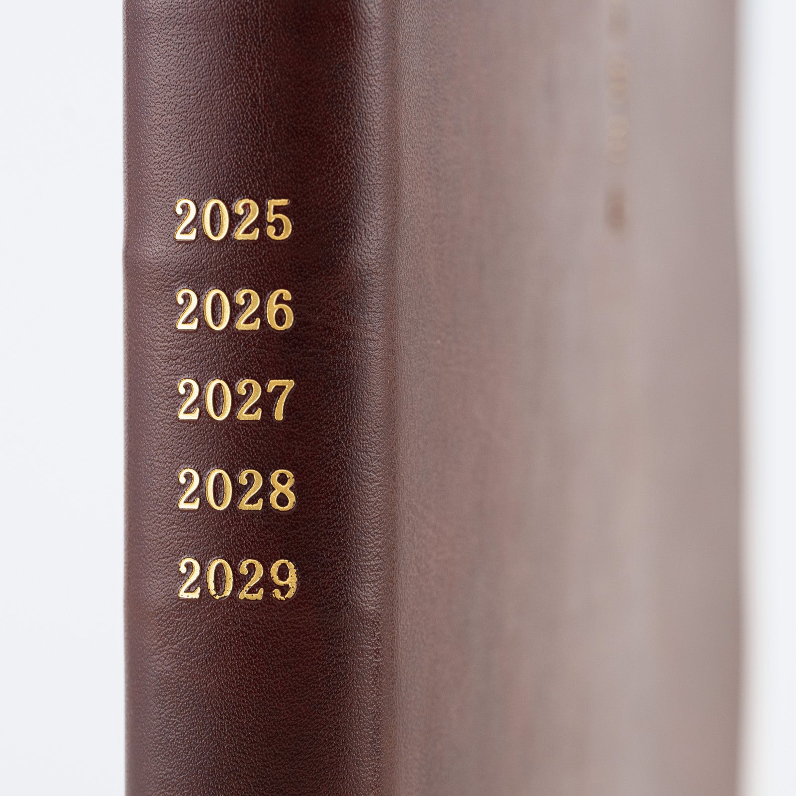 Large 5-Year Techo Japanese Book (2025-2029) [A5]