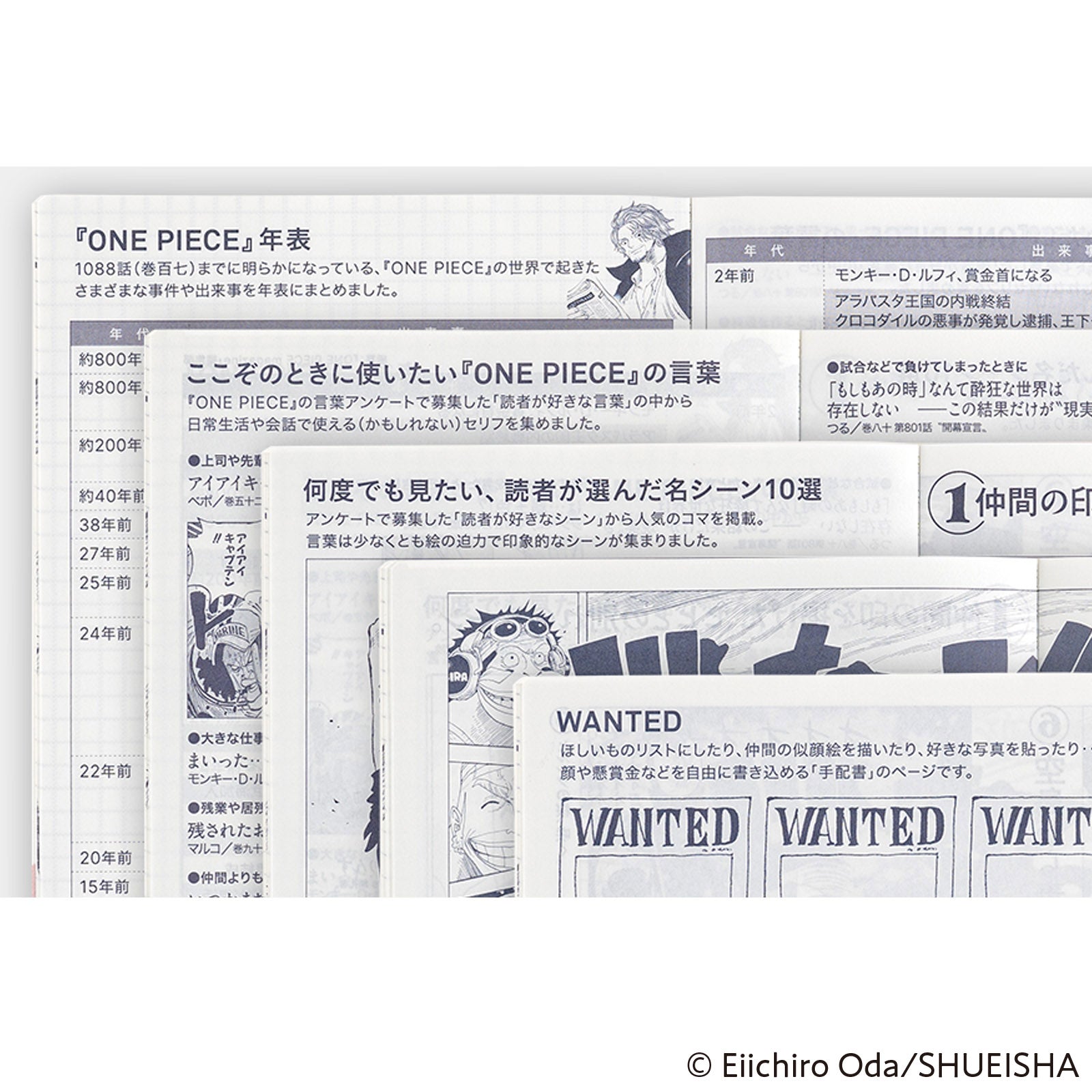 HON One Piece: magazine: DON! [JPN/A6/Jan Start]