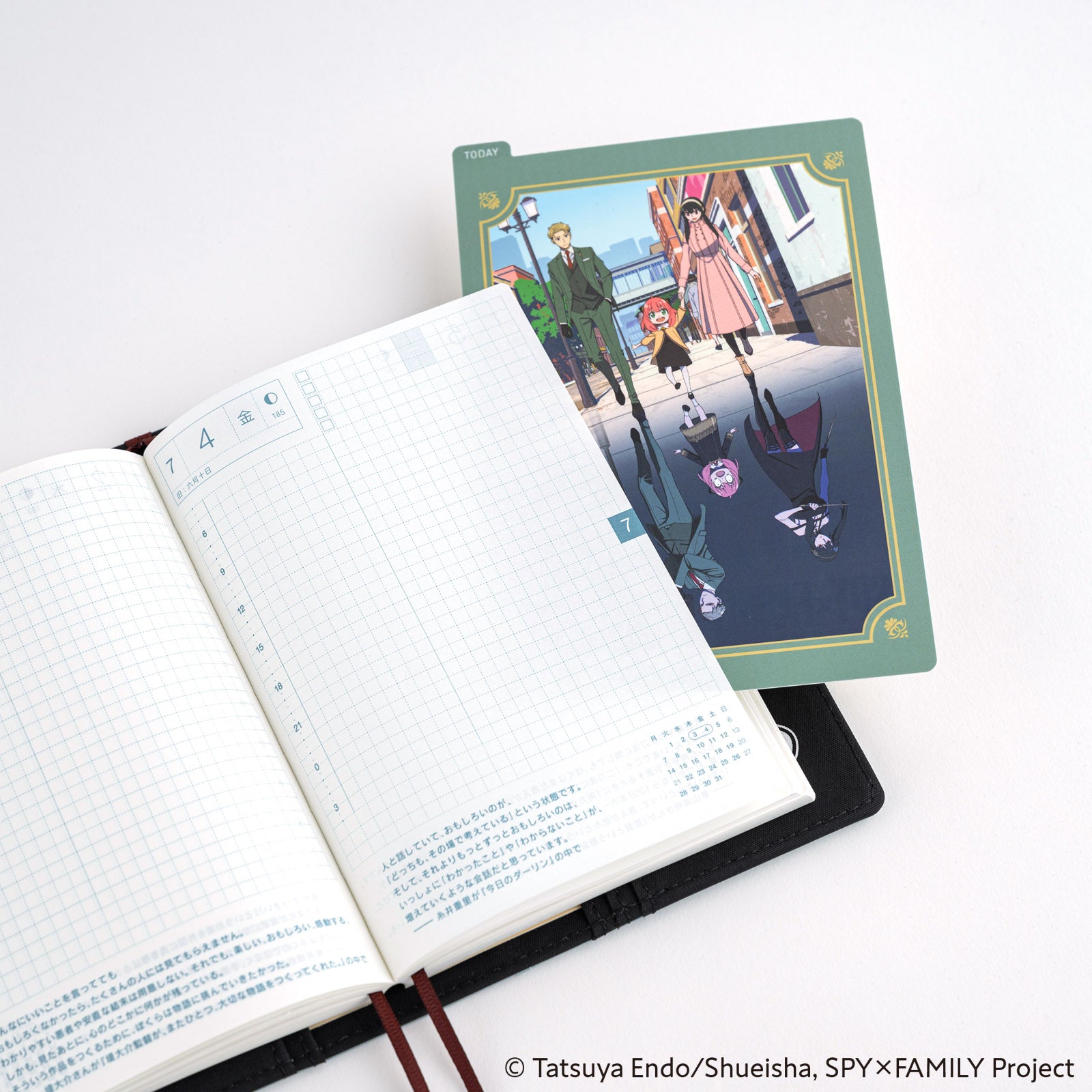 SPY x FAMILY: Hobonichi Pencil Board for A6 Size (SPY x FAMILY) Group 1