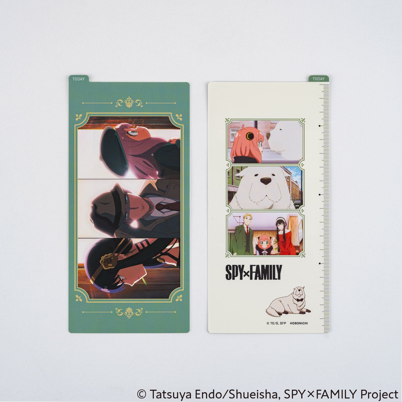 SPY x FAMILY: Hobonichi Pencil Board for Weeks (SPY x FAMILY) Group 1