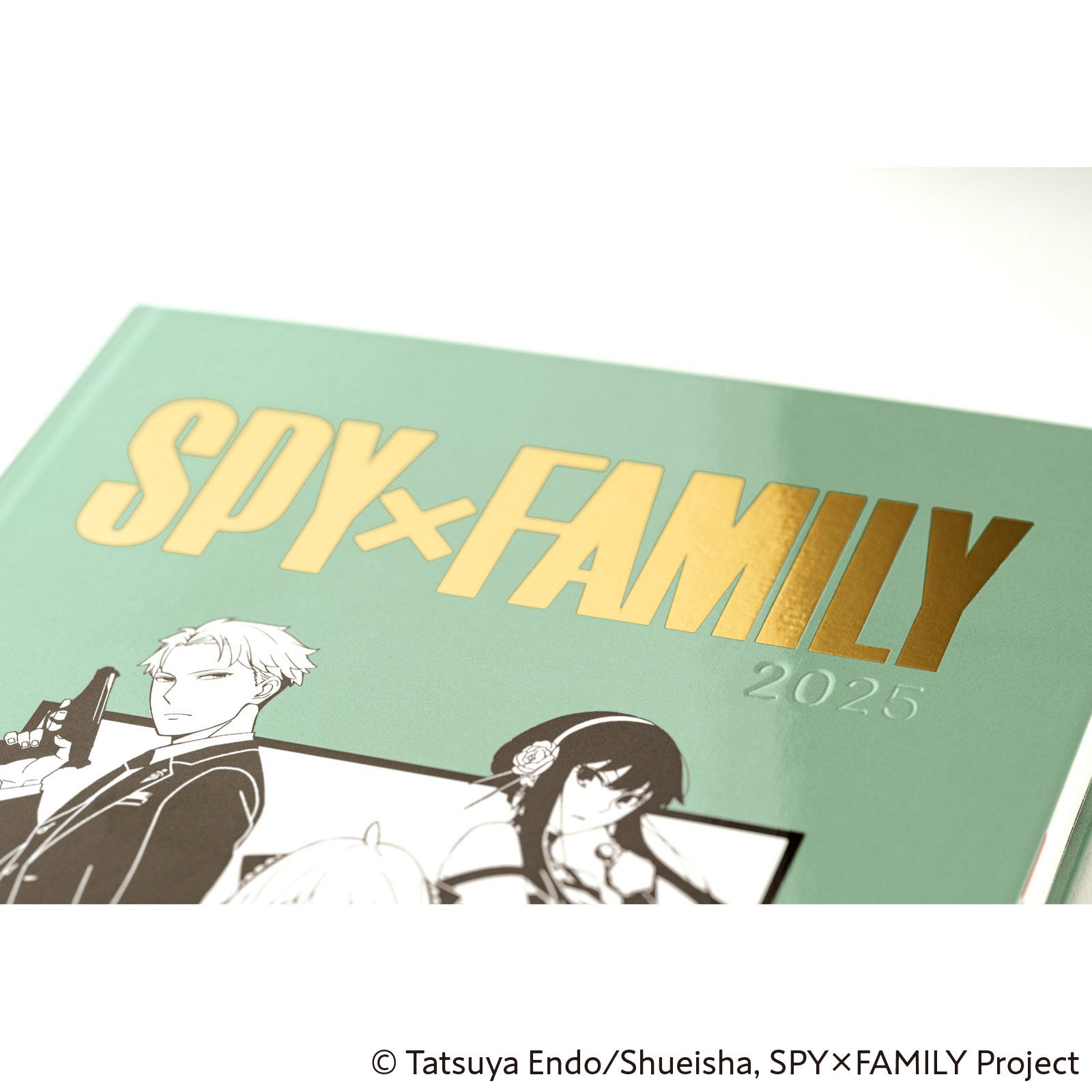 HON SPY x FAMILY: Forger Family Group 1 [ENG/A5/Jan Start]