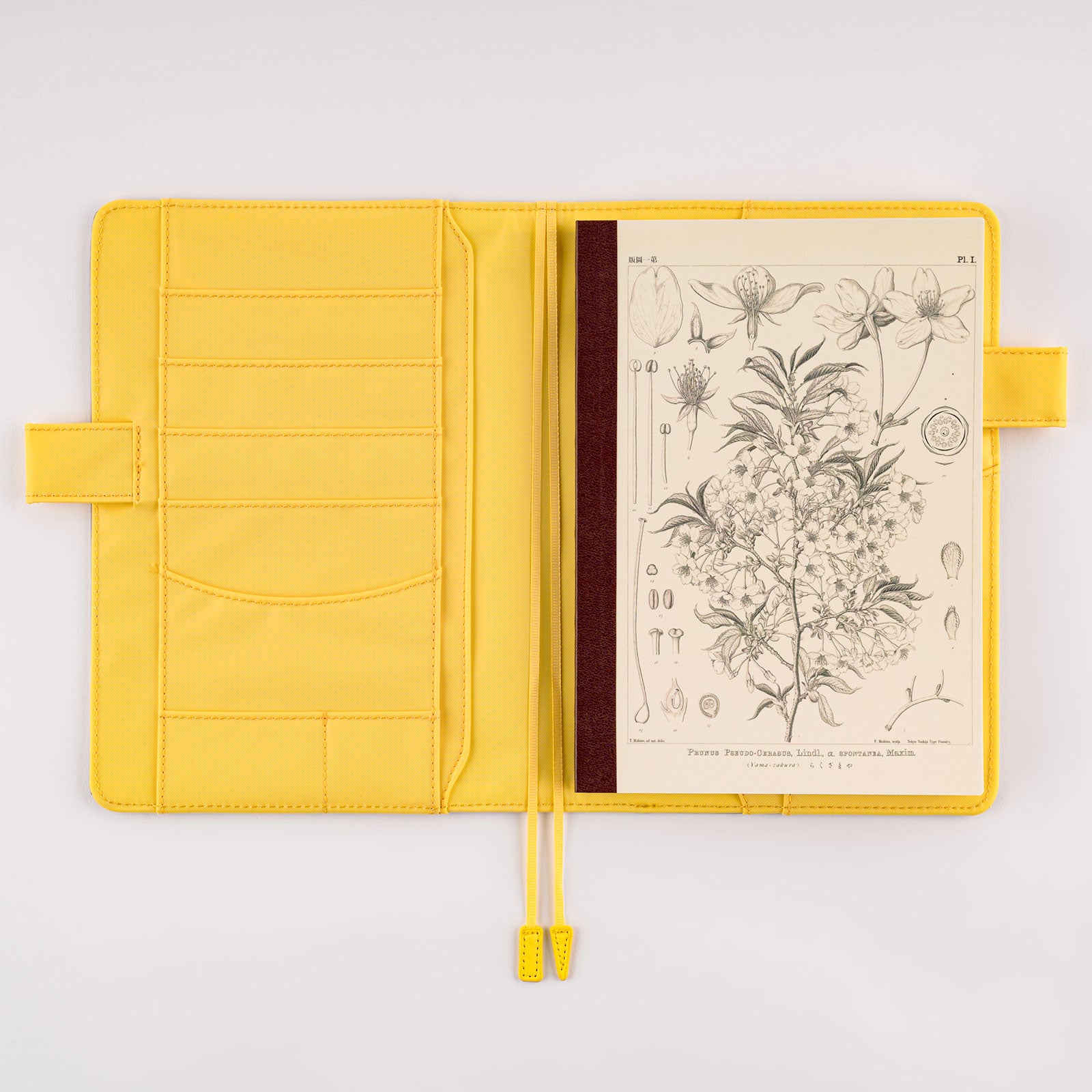 Tomitaro Makino: Hobonichi Graph Notebook (A5) - Yamazakura