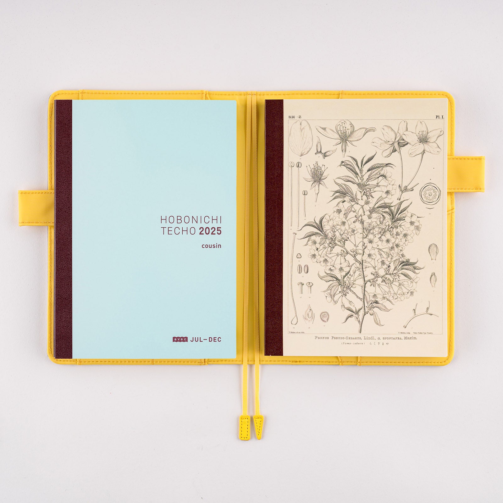 Tomitaro Makino: Hobonichi Graph Notebook (A6) - Yamazakura